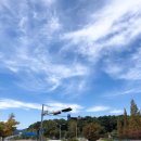 대천아구복전문 이미지