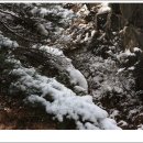 용장사석불좌상 이미지