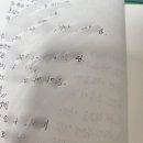 [사주 후기] 답답한 취준 생활 중 만난 따뜻한 위로, 명운사주 전화 사주 솔직 후기