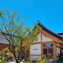 더안 | 대추밭한의원 치유의 숲 경주 더안미술관 전시 예약 추천 후기