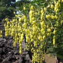 수산진성 이미지