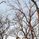 주식회사 유풍 | 경주 안강면 옥산리옥산서원