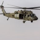 미 해병대원들의 공수훈련을 지원중인 미 육군 34보병사단 UH-60L 이미지