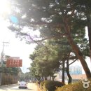 경기도 수원시 팔달구 정조로 이미지