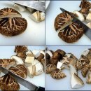고기처럼 맛있는 표고버섯 장조림 이미지