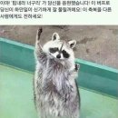 행운PC게임 이미지
