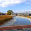 금호강강변공원 이미지