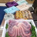 수원-0892 이미지