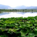 산수풍경 이미지