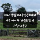 일석목장 | 제주도맛집 제주공항근처 아침미소목장 아이와 가볼만한곳 핵추천!
