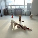 시오멍 이미지