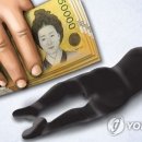 (주)제주연합상사 연합뉴스