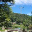 주록리계곡 루돌프 이미지