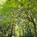 당골공원 이미지