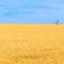 안녕하세요 치과의원 이미지