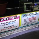 유일실내낚시터 이미지