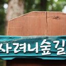 오늘, 제주 이미지