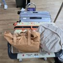 골든버터플라이 | [2024 방콕여행] 19개월 아기와 타이항공 비즈니스 탑승 후기 (인천-방콕/키즈밀 포함)