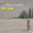 천일커텐 | 대구 근교 독채 풀빌라 아기랑 청도 나날 본채형 B3 평일 숙박 후기(2)
