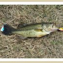 씨알인터내셔널 이미지