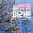 진화건장(주) | 백리벚꽃길을 달리다, 합천 벚꽃 마라톤 참가 후기