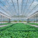 웅포농장 이미지