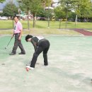 게이트볼 이미지