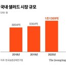 '샐러드가 밥이다' 밥 없이 먹지만 밥값보다 비싸..1조 넘은 시장 이미지