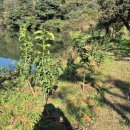 산적농장 이미지