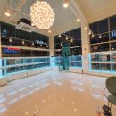 펫블리강아지&미라클고양이 이미지