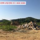 완월동103 이미지