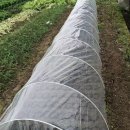 홈테리빙 이미지