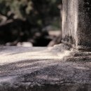 대구 서재 초등학교 석탑재 이미지