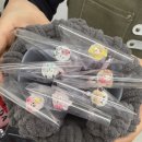 노원짱인형shop | [노원역속눈썹펌 은듯]노원속눈썹 자연스러운 컬 후기