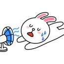 세자매 정육식당 이미지