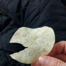 매정목장 이미지