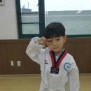 용인대 홍파 태권도 이미지