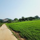 진관2리 마을회관 이미지