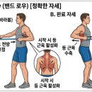 서울마취통증의학과의원 | [서울마취통증의학과의원:왕십리] 목디스크: 견갑골 안정화 및 통합 운동