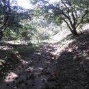 복룡농장 이미지