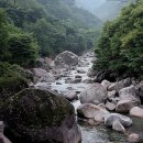 국골민박 이미지