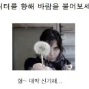 다하