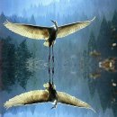 사랑이 머무는 둥지 이미지