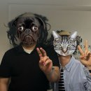 하궁목장 이미지