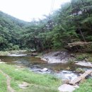 석천2 Daum카페