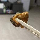 통영한바다 이미지