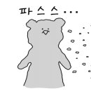 볼더팝