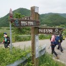 신촌교 Daum카페