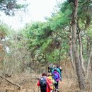 이색선생묘일원 이미지