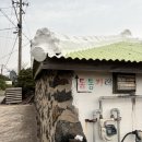평대하루 | 제주 평대맛집 추천 톰톰카레 🍛 조용한 저녁식사 하기 좋은 곳